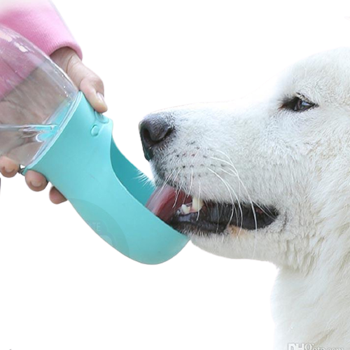 Bebedero Portátil Automático