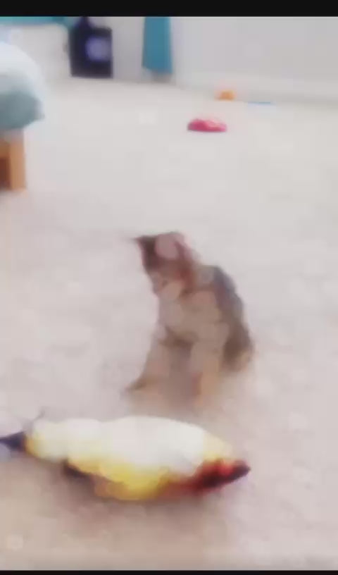 Juguete electrico para gatos pescado