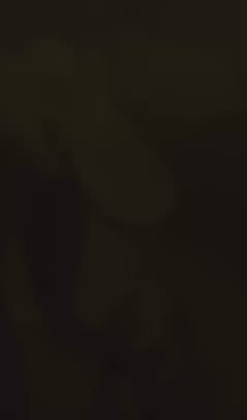 Bebedero Portátil Automático