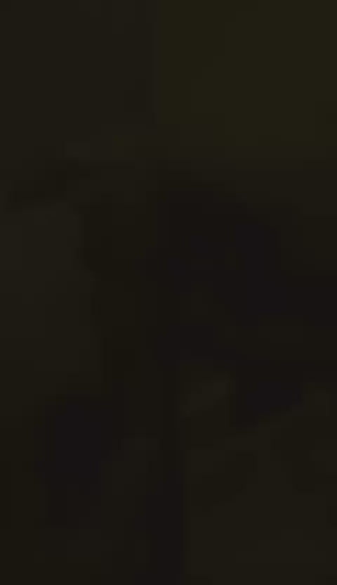 Depiladora facial eléctrica 2 en 1